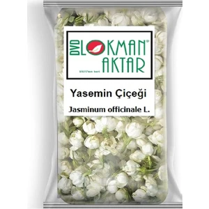 DVD Lokman Aktar Lokman Aktar Yasemin Çiçek 100 gr