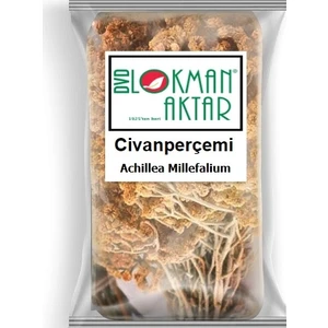 DVD Lokman Aktar Lokman Aktar Civan Perçemi 1 kg