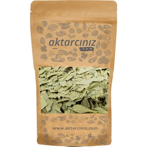 AKTARCINIZ Avokado Yaprağı 100 gr