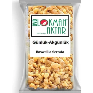 DVD Lokman Aktar Lokman Aktar Günlük Akgünlük Sığla Ağacı Sakızı 50 gr