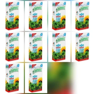 (10 Lu Stand) Ağız Koku Giderici Kapsul 24 Lü