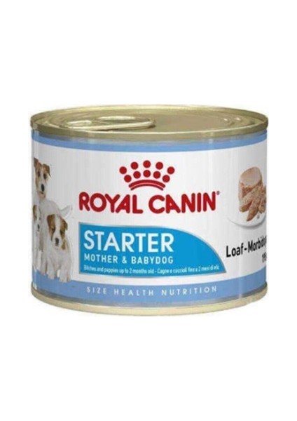 Royal Canin Starter Mousse Yavru Köpek Konservesi 195 Gram x 12'li