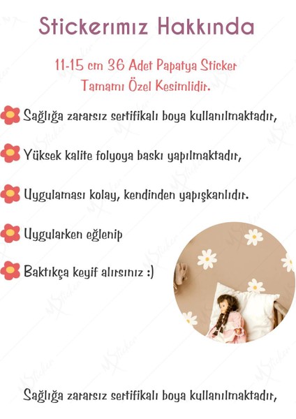 Beyaz Papatyalar Çocuk Bebek Odası Duvar Sticker Seti modelleri