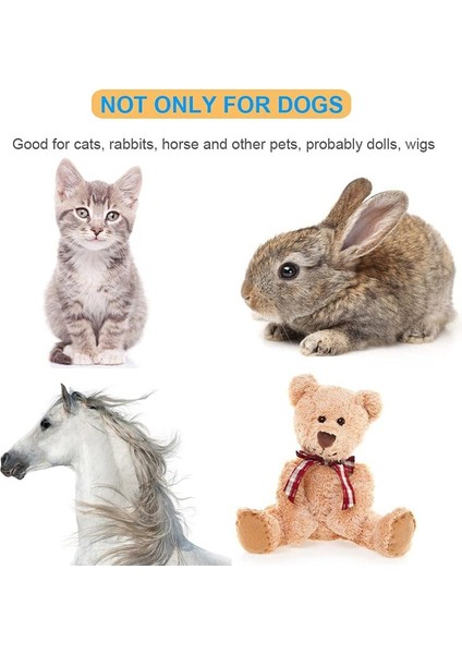 Pet Tarak (Yurt Dışından) indirimleri