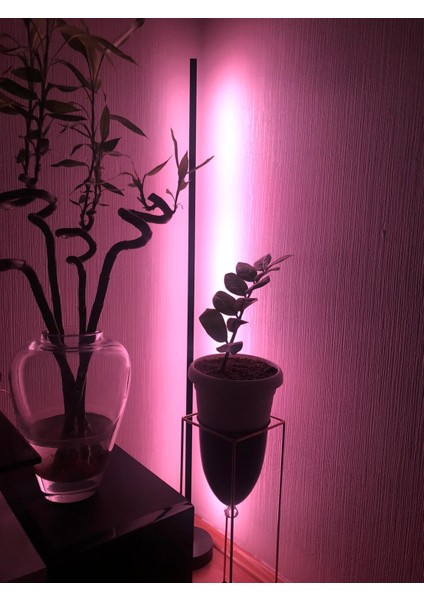 Dekoratif Rgb Bluetooth LED Lambader Köşe Lambası Siyah 120 cm Mobil Kontrol Telefon Kontrol Siyah