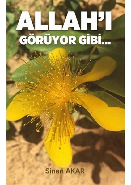 Allah'ı Görüyor Gibi - Sinan Akar
