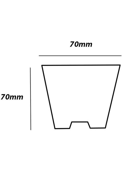 24 Göz Viyol (10 Adet) FİDE YETİŞTİRME VİYOLÜ FİDAN YETİŞTİRME KABI ÇİLEK SEBZE MEYVE SÜS BİTKİSİ SKULENT FİDELİK modelleri