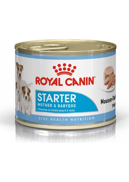 Starter Mousse Anne ve Yavru Köpek Maması 195GR