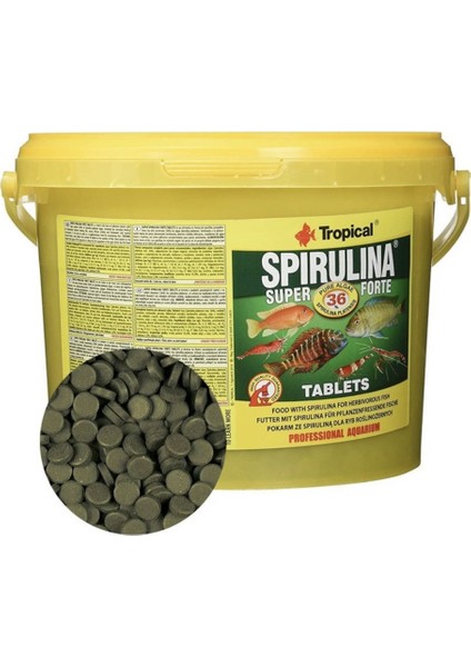 Super Spirulina Forte Tablets 500 Adet