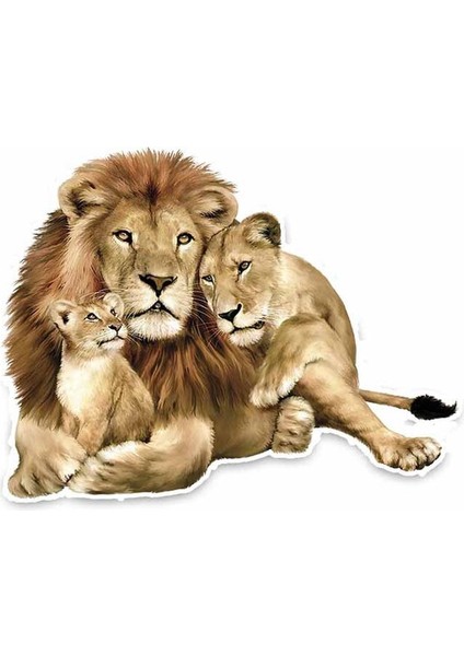 Aslan Ailesi Araba Sticker Yapıştrması 18 cm
