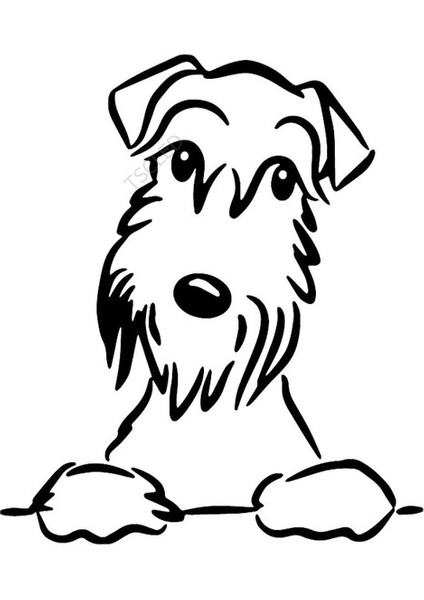 Schnauzer Köpek Araba Sticker Yapıştırması 20 cm