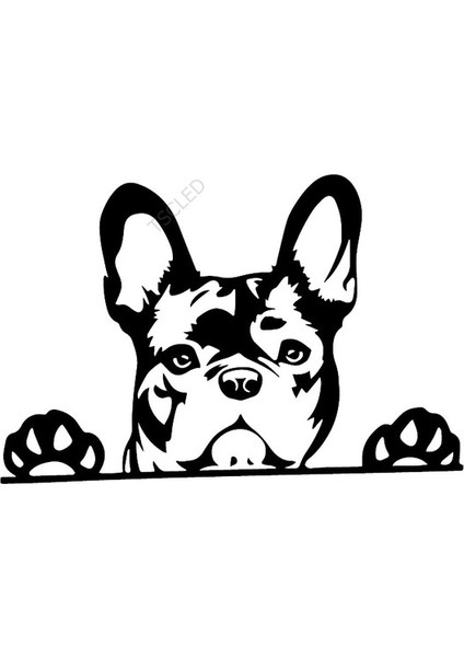 Paws Up Fransız Bulldog Frenchie Siyah Renk Sticker 20 cm