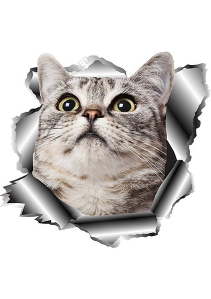 Sevimli Kedi Araba Sticker Yapıştırması 20 cm