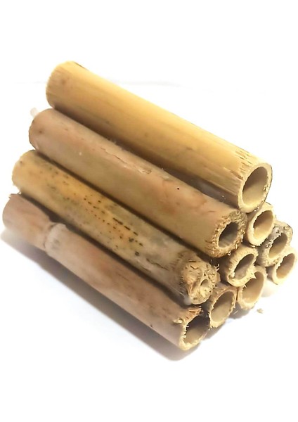 10 ' Lu Uretim Kamışı (10 Cm)