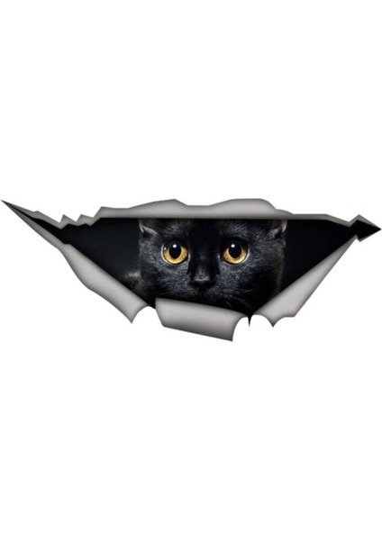 Siyah Sevimli Kedi Yavrusu Araba Sticker 18 cm