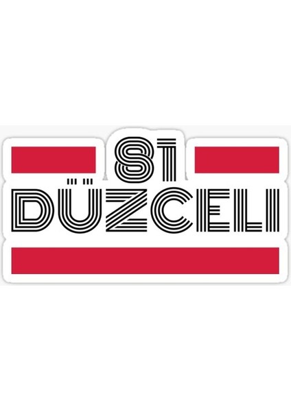 81 Düzceli Plaka Araba Sticker Yapıştırması 20 cm