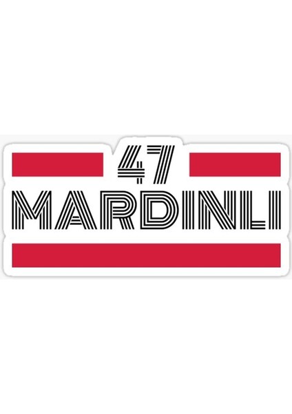 Tsc 47 Mardinli Plaka Araba Sticker Yapıştırması 20 cm