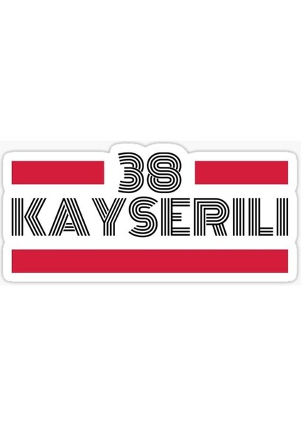 38 Kayseri Plaka Araba Sticker Yapıştırması 20 cm