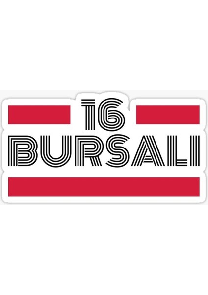 Tsc 16 Bursalı Plaka Araba Sticker Yapıştırması