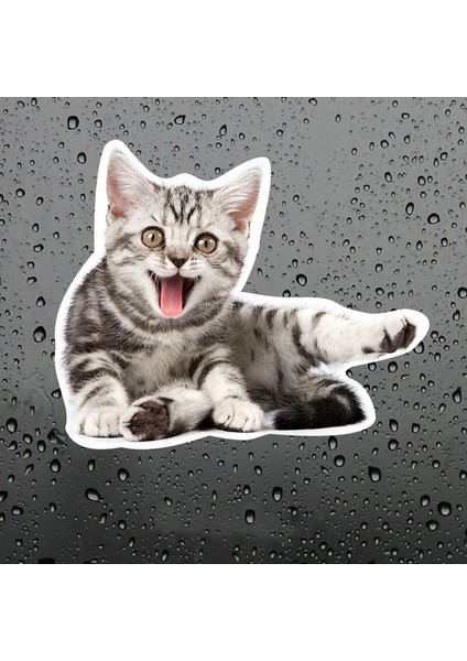 Sevimli Yaramaz Kedi Araba Sticker Etiket 18 cm M3