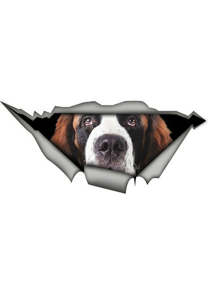 Saint Bernard Köpek Yırtık Araba Sticker Etiket 20 cm
