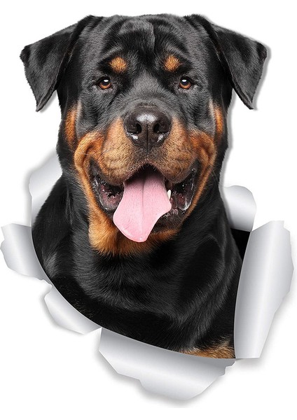 Rottweiler Köpek Araba Sticker 18 cm Etiket Yapıştırma