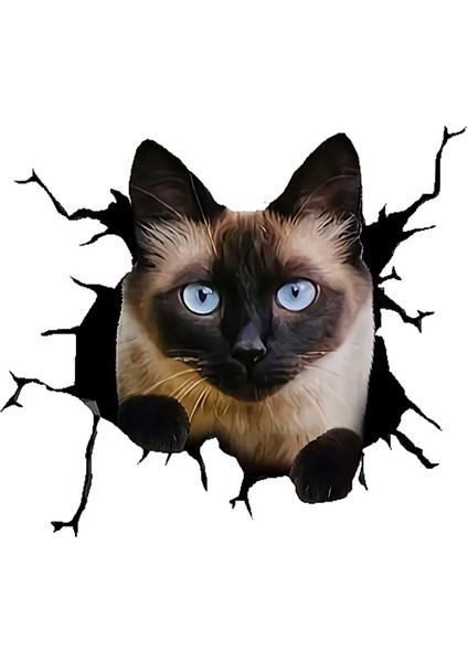 Siyam Kedisi 1 Araba Sticker Yapıştırması 17 cm