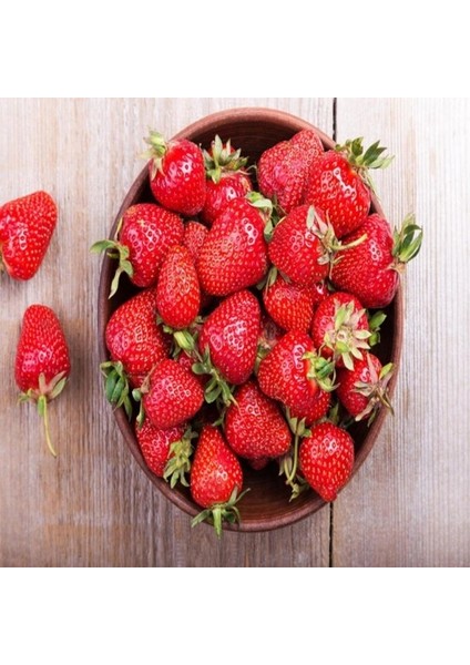 50 Adet ( Aromas ) Cinsi Kokulu Çilek Fidesi Açık Kök 1 Inci Sınıf