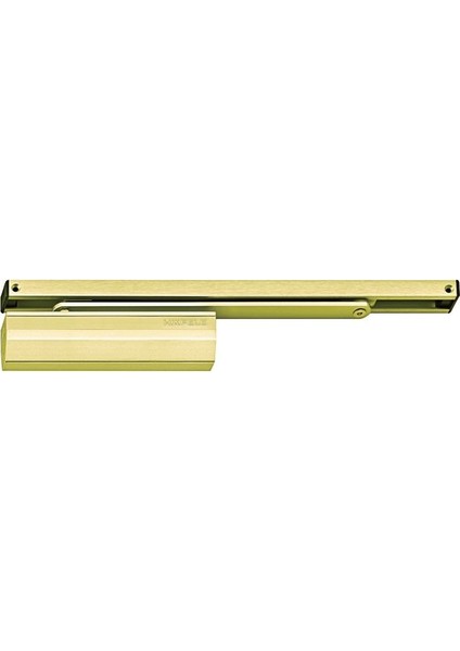 DCL84 Kapı Kapatıcı F En3 Parlak Pirinç