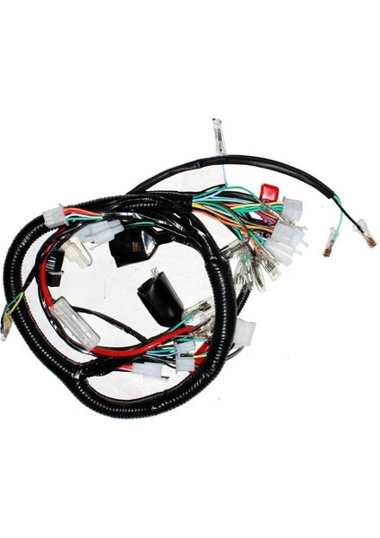 Mg Elektrik Tesisatı (Mg-C,mg-S, Mg-D / Mg-Sp)