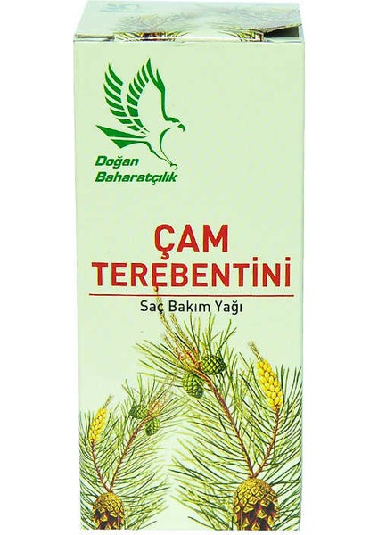Çam Terebentini 50CC fiyatları