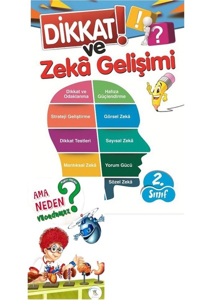 2. Sınıf Dikkat Ve Zeka Gelişimi