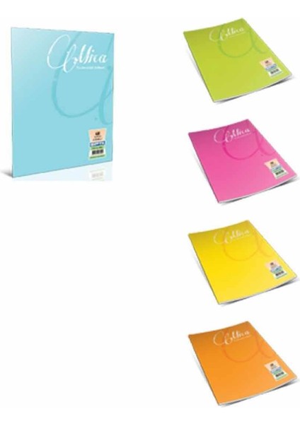 Gıpta C Book Tel Dkş Pp Kpk A4 40/1