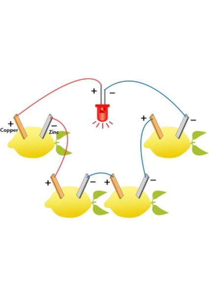 Limon Deney Seti Limondan Elektrik Üretimi Yapım Seti Limon Pili