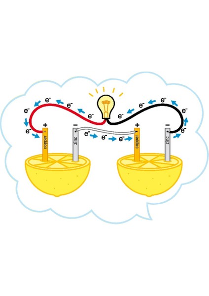 Limon Deney Seti Limondan Elektrik Üretimi Yapım Seti Limon Pili