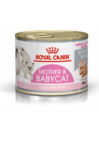 Royal Canin Babycat South Anne ve Yavru Kedi Maması 195GR