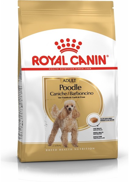 Bhn Poodle Adult Yetişkin Köpek Maması 3 kg