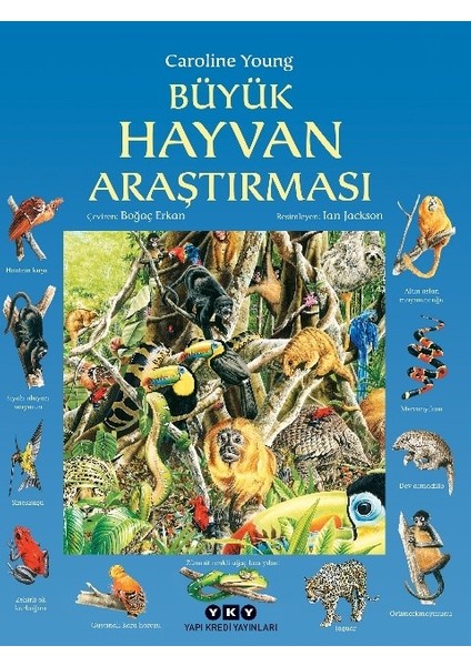 Büyük Hayvan Araştırması - Caroline Young