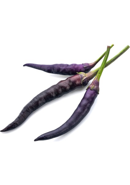 Eko Paket Acı Mor Cin Biber Tohumu Cin Biber Tohumu 130 Adet Tohum