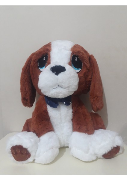 55 cm Sady Dogy Köpek