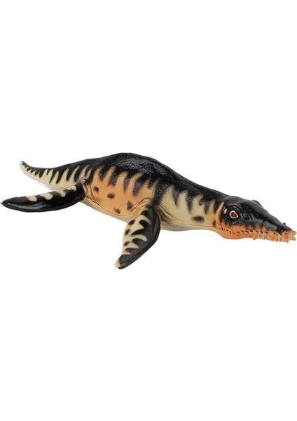 Deniz Dinozor Rakamlar Prehistorik Hayvan Derin Deniz Canavar Partisi Favor Liopleurodon