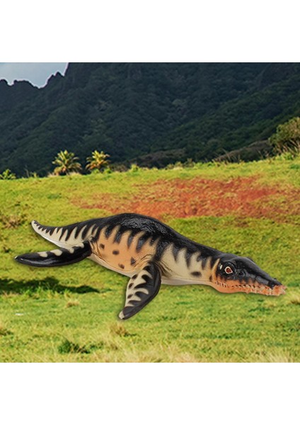 Deniz Dinozor Rakamlar Prehistorik Hayvan Derin Deniz Canavar Partisi Favor Liopleurodon
