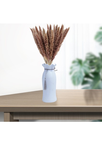 15X Kurutulmuş Pampalar Çim Fragmites Kamış Çiçek Demet Ev Boho Dekor Hediye Doğal fırsatları