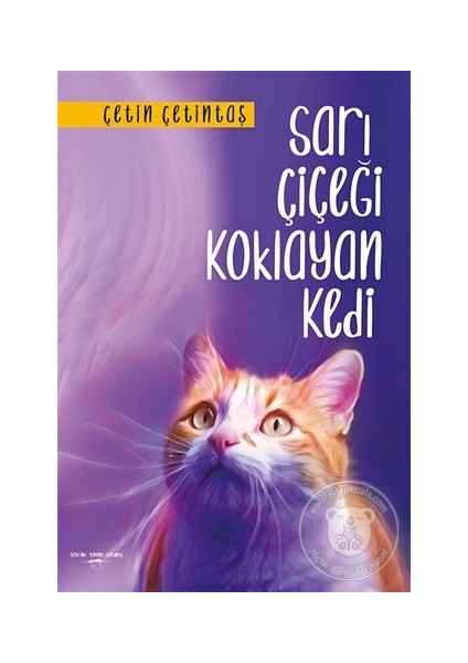 Sarı Çiçeği Koklayan Kedi - Çetin Çetintaş