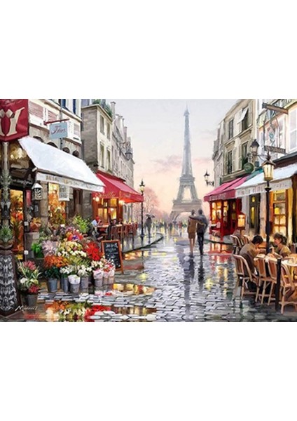 Womb Hobby Paris Sayılarla Boyama Seti 60X75 cm (Tuvale Gerili)