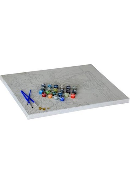 Bahar Ççiçekleri Sayılarla Boyama Seti 40X50 cm (Tuvale Gerili)