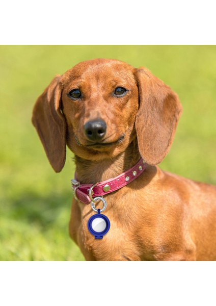 Airtags Için Kayıp Konum Izci Anahtarlık Koruyucu Kılıf Koyu Mavi (Yurt Dışından) fiyatları