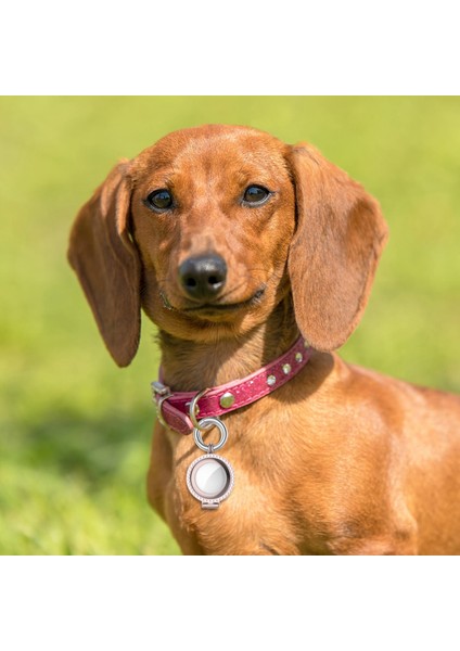 Anti-Kayıp Konum Izci Anahtarlık Koruyucu Kılıf Airtags Gül Pembe Elmas (Yurt Dışından) fiyatları