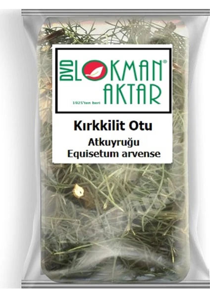 DVD Lokman Aktar Lokman Aktar Kırkkilit Otu (Atkuyruğu) 50 gr