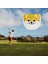 Golf Koruma Çantası (Yurt Dışından) 2